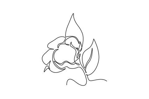 Single continuous line drawing of whole soft and fluffy cotton flower for f.. Stock-Illustration