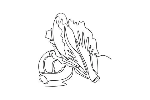 Single continuous line drawing whole healthy organic mustard green leaves f.. Illustrazione stock