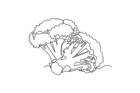 Single continuous line drawing whole healthy organic green broccoli for har.. Stock-Illustration