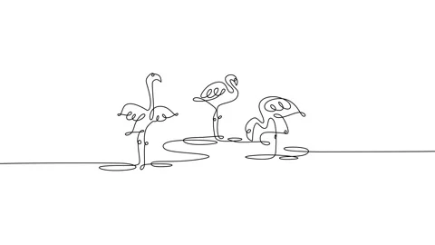 Single continuous one line animation of three tropical bird flamingos Stock Footage 227543314