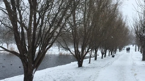 Single couples stroll through the winter park Video stock 122911647