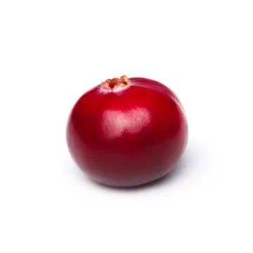 Single cranberry Stock Photos