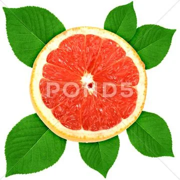 Single cross section of grape-fruit with green leaf Stock Photos