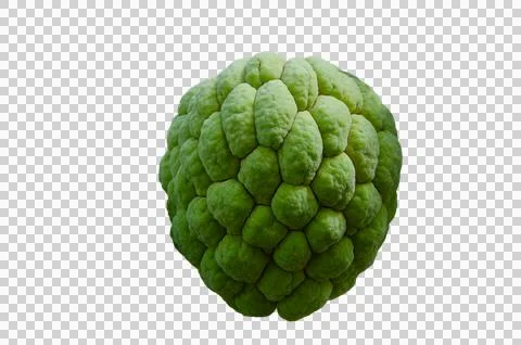 Single custard apple on background isolated background 스톡 사진