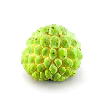 Single custard apple with white background with isolate. Stock Photos