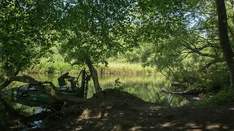 A single cutter thowd on a crooked tree on Danish Riverside Stock Footage 40972925