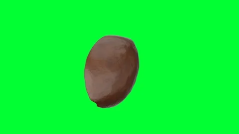 Single dark brown coffee bean seed rotates gently isolated on green screen .. Video stock 336655027