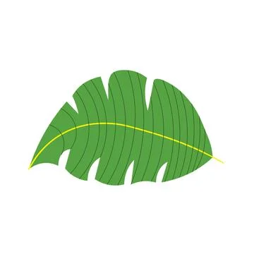 A single dark leaf with segmented edges is depicted as a solid black silhouet 库存插图