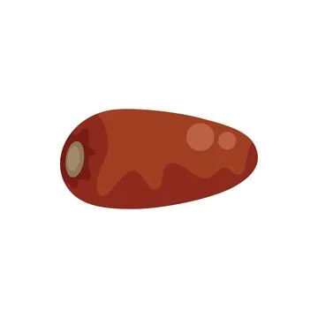 Single date fruit lying horizontally showing its texture Illustrazione stock