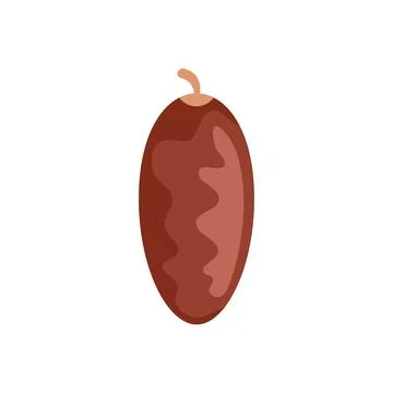 Single date fruit with stem growing on palm tree Stock Illustration