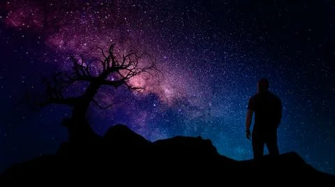 Single dead tree and man silhouette at night with milky way core and stars ba Stock Photos