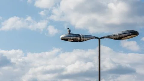 A single deaf on an old lamppost Stock Photos