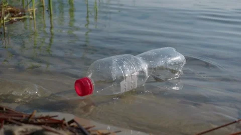 Single Discarded Empty Plastic Bottle Floating in Shoreline Water Stock Footage 343571880