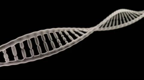 Single DNA chain rotation on the black background (HD video 1080) Stock Footage 50958366