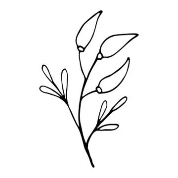 Single doodle leaf isolated on white 스톡 일러스트