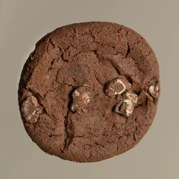 Single double chocolate chip cookie closeup isolated on gray background 스톡 사진