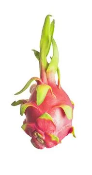 Single dragon fruit isolated on white background. Fresh tropical produce with Stock Photos