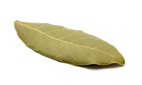 Single dried bay leaf on white background. 库存照片