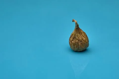 Single dried fig on blue background minimal food still life Stock Photos