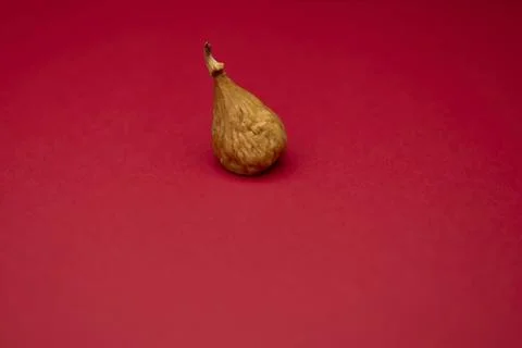 Single dried fig on red background colorful healthy concept Stock Photos