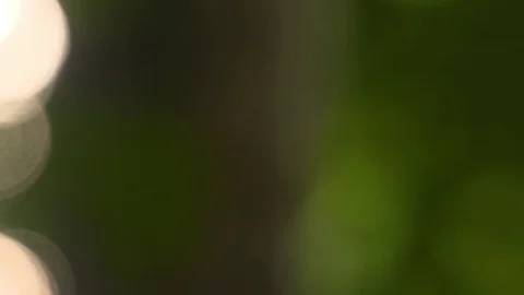 A single drop of water hangs at the tip of a green leaf.  Stock Footage 72719050