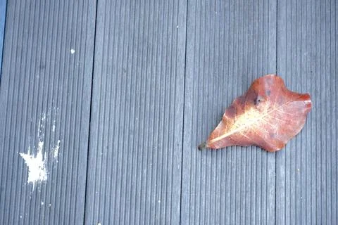 A single dry reddish-brown leaf rests on a grey ribbed wooden surface 库存照片