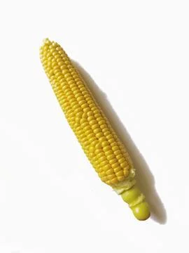Single ear of corn isolated on white background Stock Photos