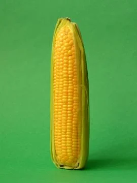 Single ear of corn Stock Photos
