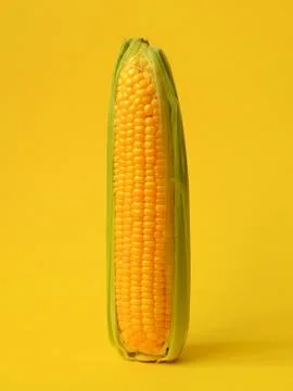 Single ear of corn Stock Photos