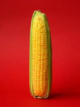 Single ear of corn Stock Photos
