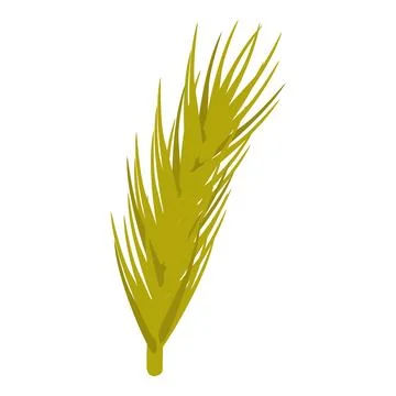 Single ear of wheat growing on white background Stock Illustration