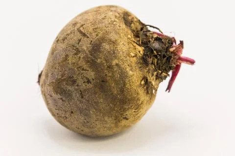 A single, earthy beetroot with root remnants sits on a white background, read Stock Photos