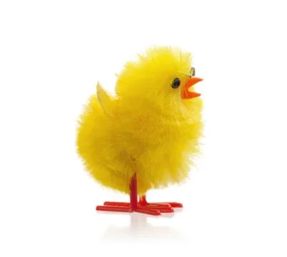 Single easter chick, isolated Stock Photos