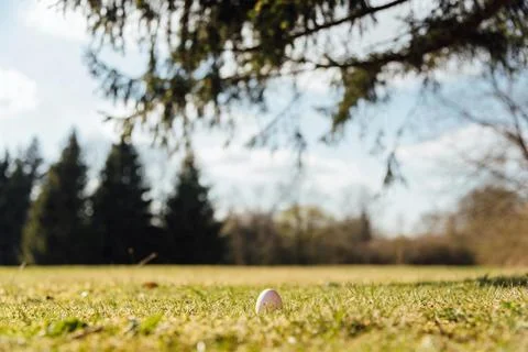 Single Easter egg hidden in green grass under a large tree on a sunny day Stock Photos