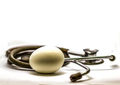 Single egg and stethoscope isolated in white background as doctor recommendat Stock Photos
