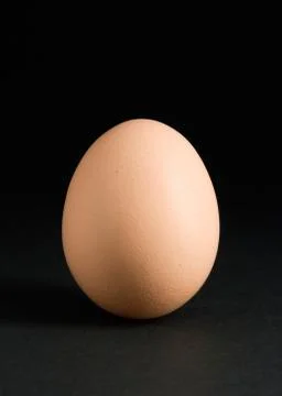 Single egg on black Stock Photos