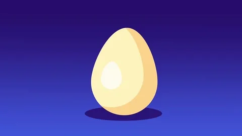 Single Egg on Display Stock Footage 335642085