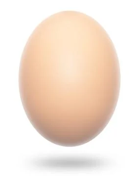 Single Egg Stock Illustration