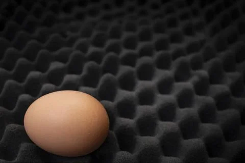Single egg on noise absorbing black foam, protection abstract concept Stock Photos