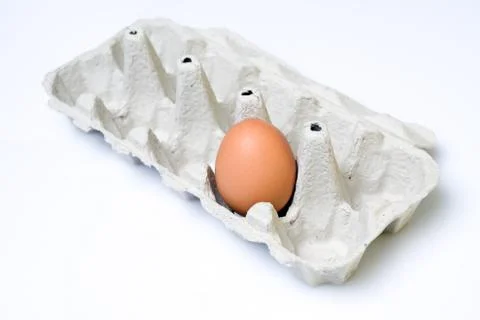 Single egg in paper tray Foto stock