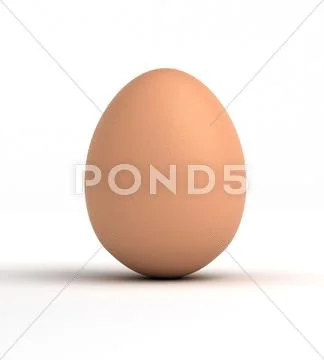 Single egg Stock Photos