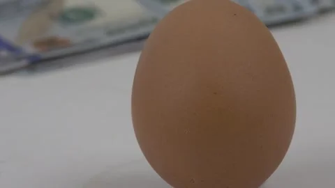 Single egg rising in a sea of hundred dollar bills Stock Footage 333623249