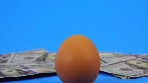 Single egg rising in a sea of hundred dollar bills Stock Footage 333623294