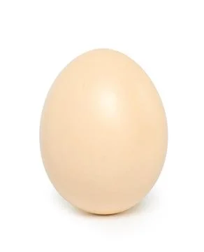 Single egg standing on white background Stock Photos
