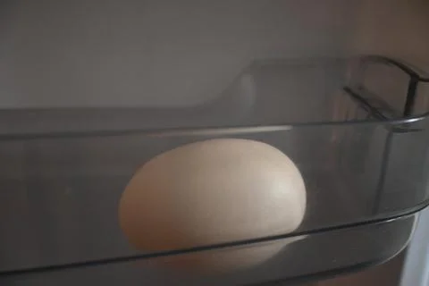 Single egg stored in a refrigerator Stock-Fotos