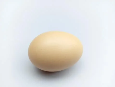 Single egg on white background  Foto stock