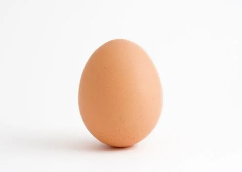 Single egg on white Stock Photos