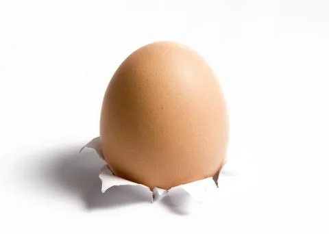 Single egg on white Stock Photos