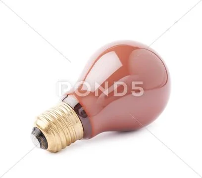 Single electric bulb lying on its side, isolated over the white background Stock Photos