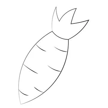 Single element Carrot. Draw illustration black and white Stock Illustration
